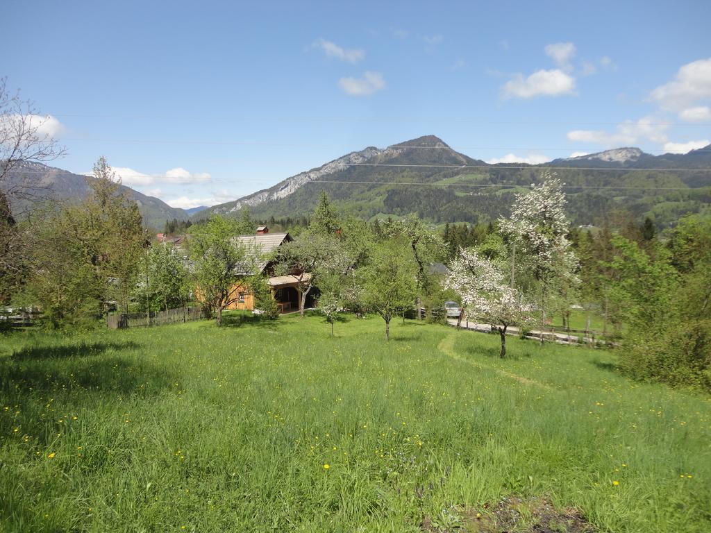 Chalet Ramsau 8 Bad Goisern Esterno foto